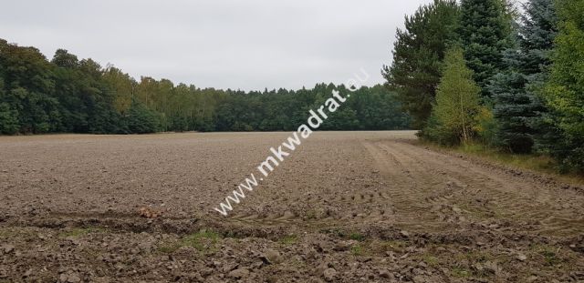 Działka budowlana Budy Wolskie. Zdjęcie 5