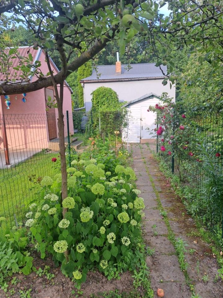 Działka rod Chełmno. Zdjęcie 3