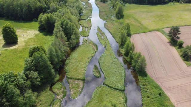 Działka rolna Sarnetki. Zdjęcie 1