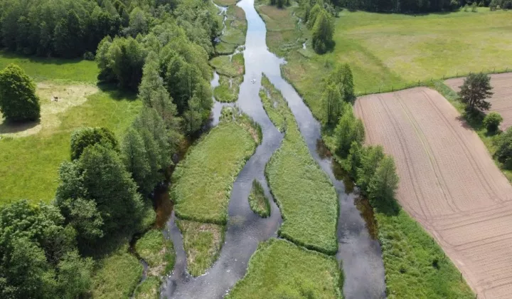 Działka rolna Sarnetki