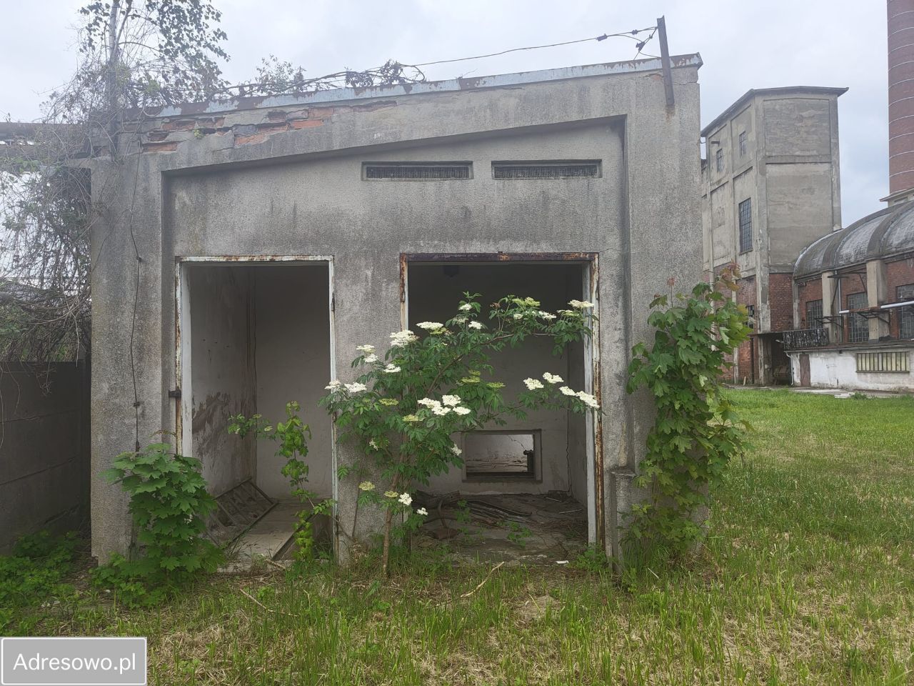 Hala/magazyn Opole Śródmieście, ul. Tadeusza Rejtana. Zdjęcie 16