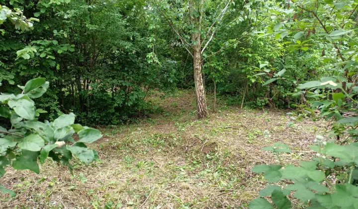 Działka rod Wrocław Śródmieście, ul. Klecińska