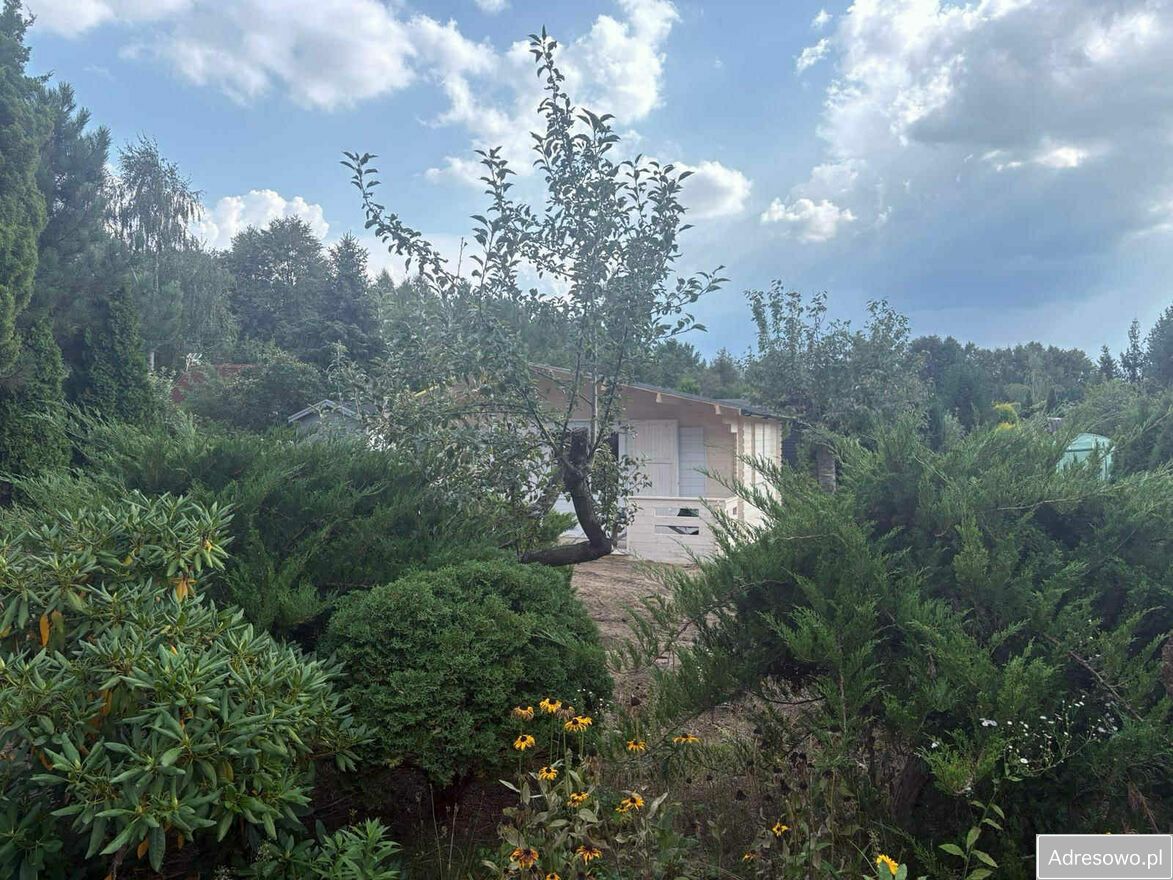 Działka rekreacyjna Słowik. Zdjęcie 9