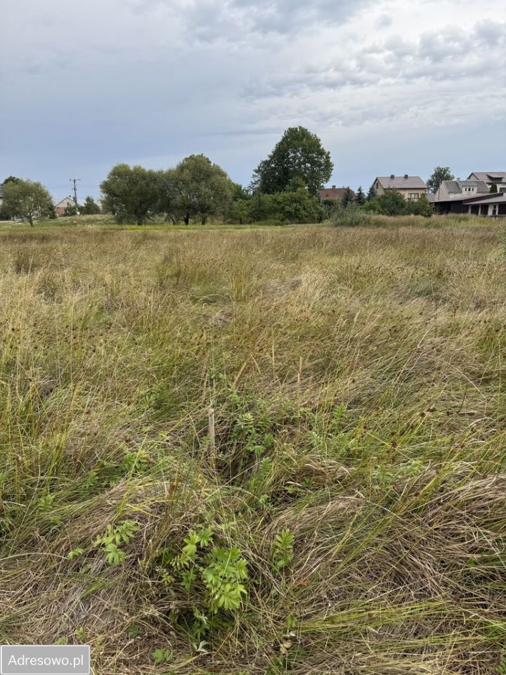 Działka rolna Oblin. Zdjęcie 3