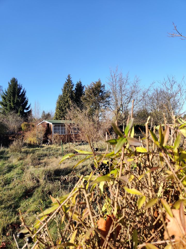 Działka rod Łódź Stoki, ul. Jana Dębowskiego. Zdjęcie 5