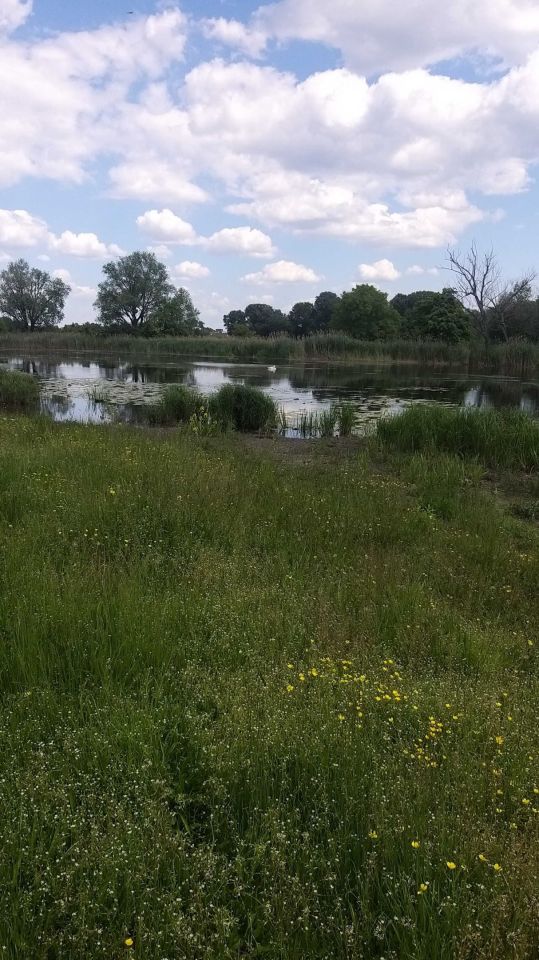 Działka rolna Warszawa Wilanów. Zdjęcie 5