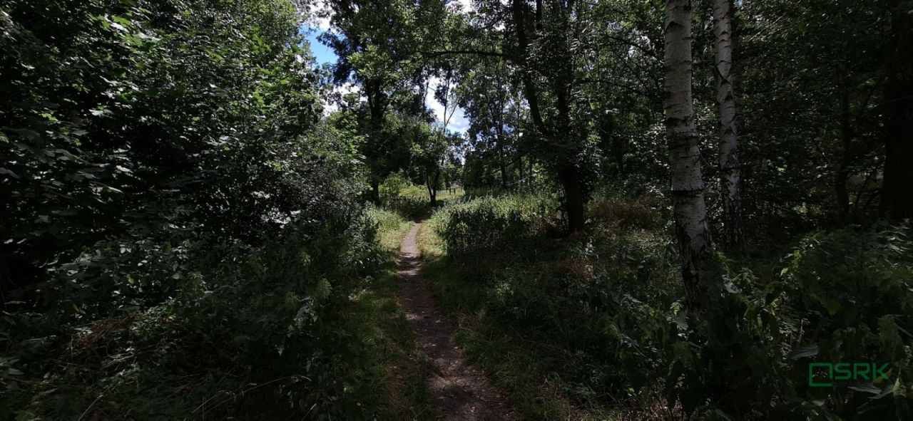 Działka inna Sosnowiec, ul. gen. Leopolda Okulickiego. Zdjęcie 4