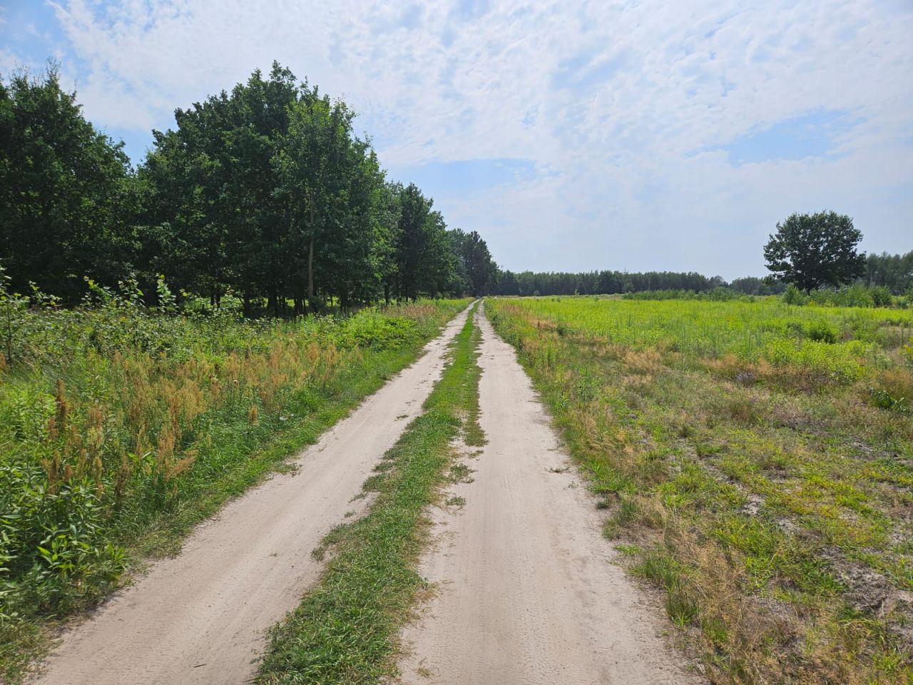 Działka budowlana Zawodne, ul. Kwiatów Polnych. Zdjęcie 5