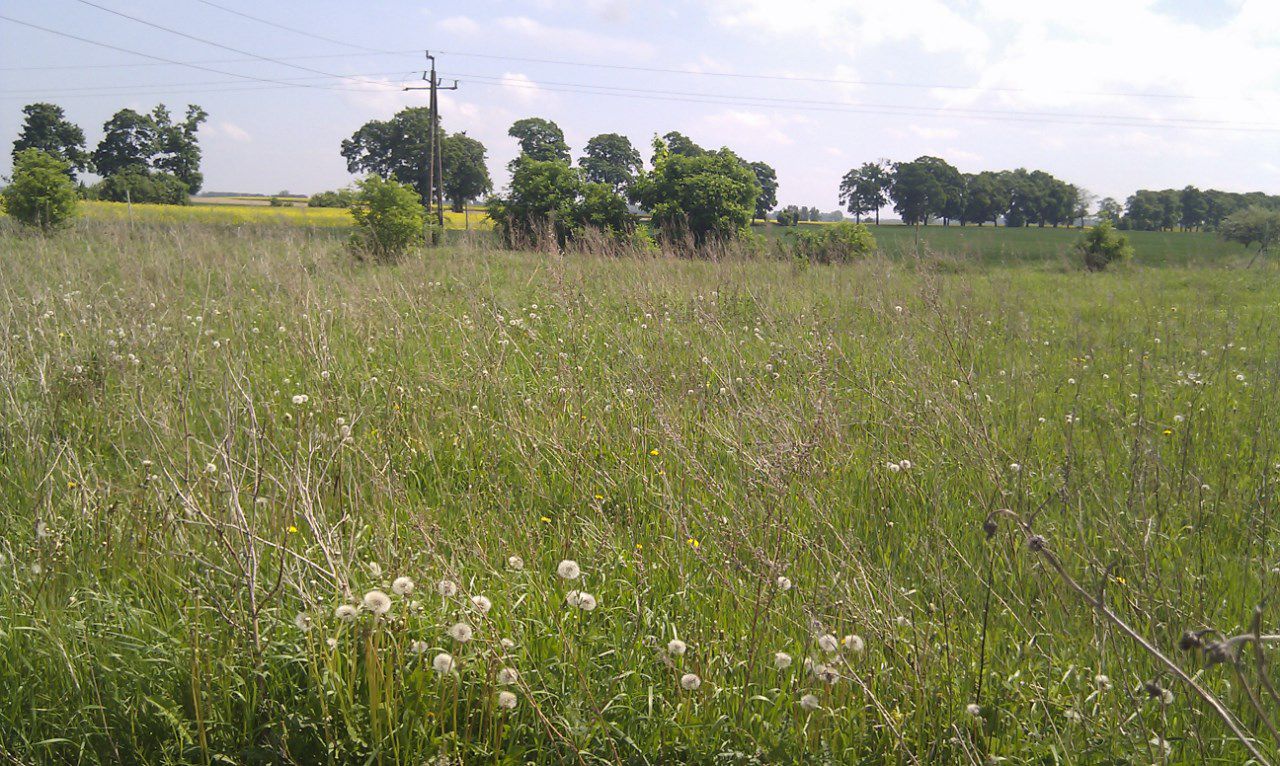 Działka rolno-budowlana Parsów. Zdjęcie 4