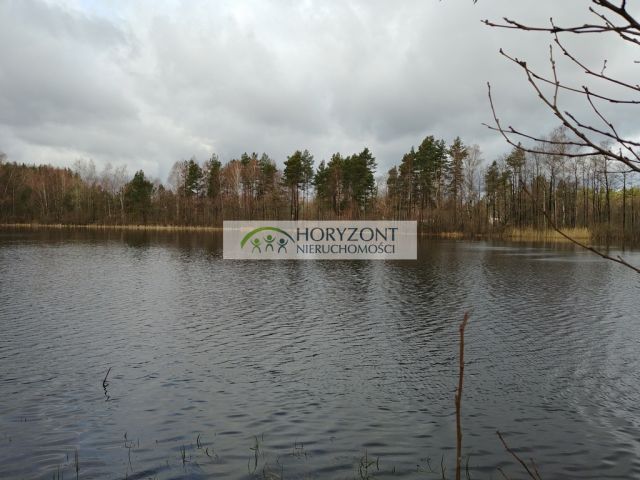 Działka Kamień. Zdjęcie 3