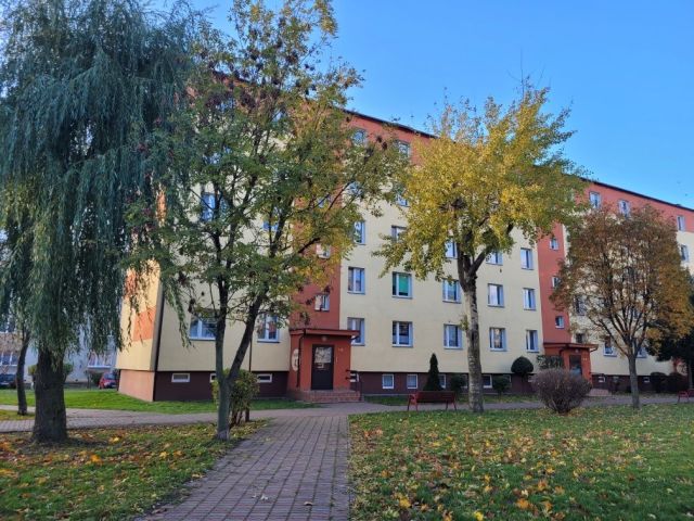 Mieszkanie 3-pokojowe Rypin, ul. Mławska. Zdjęcie 1