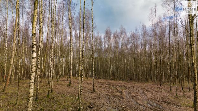 Działka rekreacyjna Stare Miasto. Zdjęcie 14
