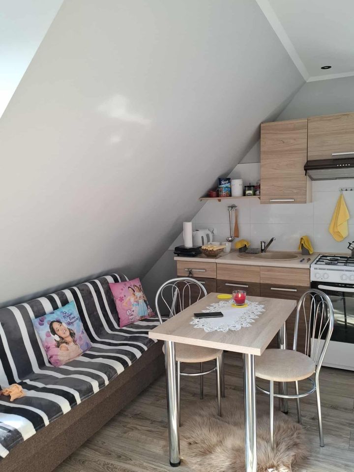 Mieszkanie 1-pokojowe Nowy Dwór Gdański, ul. gen. Tadeusza Kościuszki. Zdjęcie 8