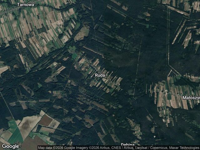 Działka leśna Ruda. Zdjęcie 1
