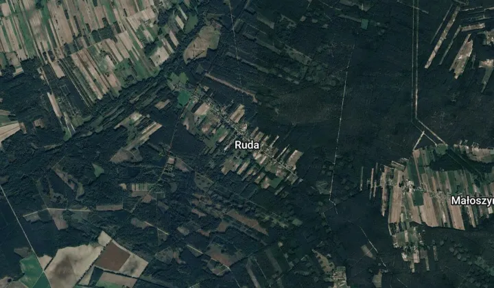 Działka leśna Ruda
