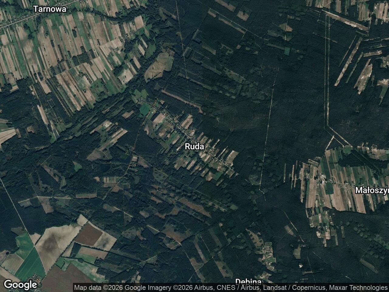 Działka leśna Ruda. Zdjęcie 1