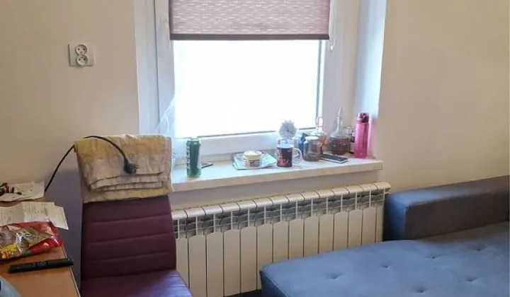 Mieszkanie 1-pokojowe Kochcice