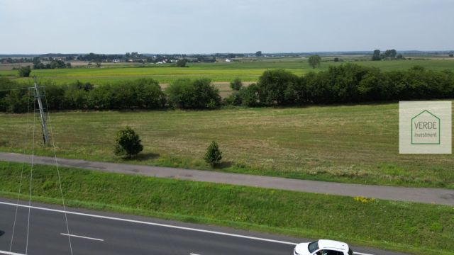 Działka inwestycyjna Chludowo, ul. Szosa Poznańska. Zdjęcie 2