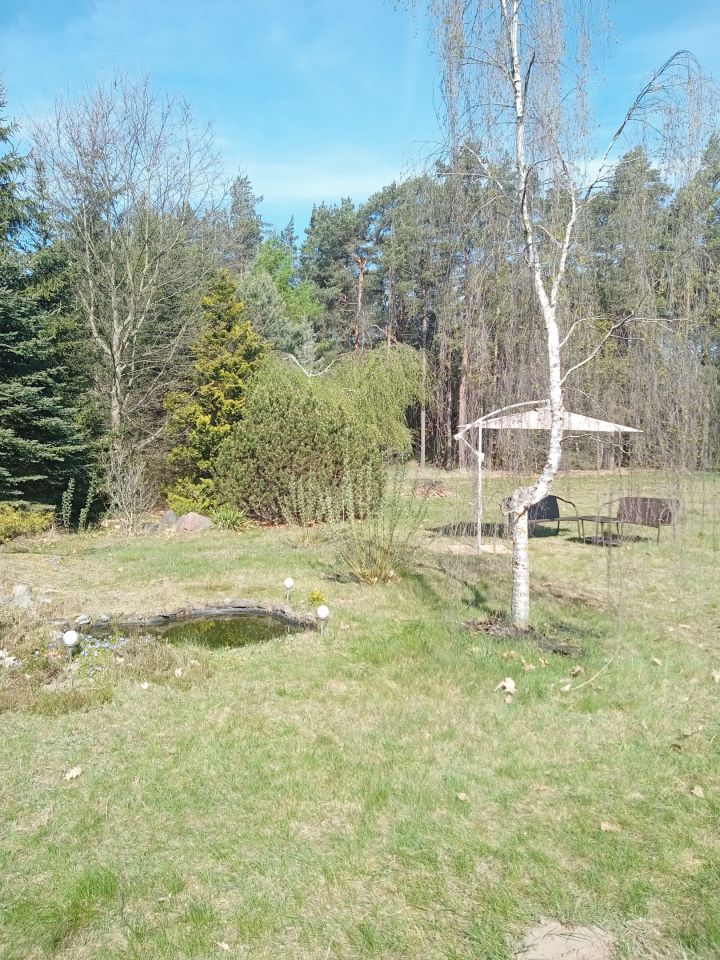 Działka rolno-budowlana Bysław Bociany, ul. Zbysława. Zdjęcie 21