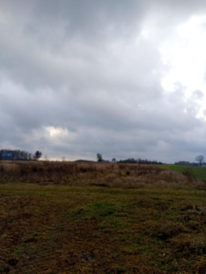 Działka rolno-budowlana Taczów. Zdjęcie 9