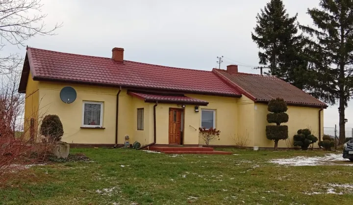 dom wolnostojący, 4 pokoje Brzuze