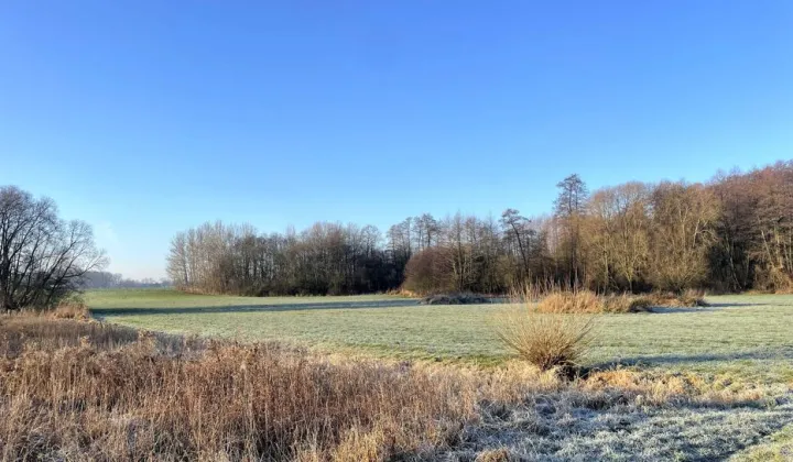 Działka siedliskowa Zaborowo