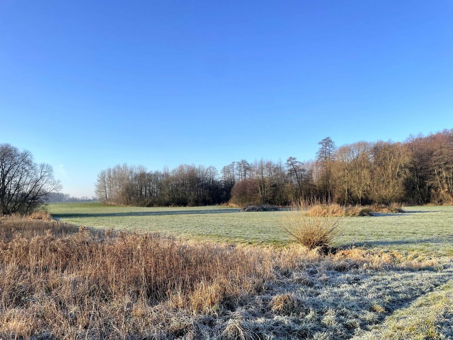 Działka siedliskowa Zaborowo