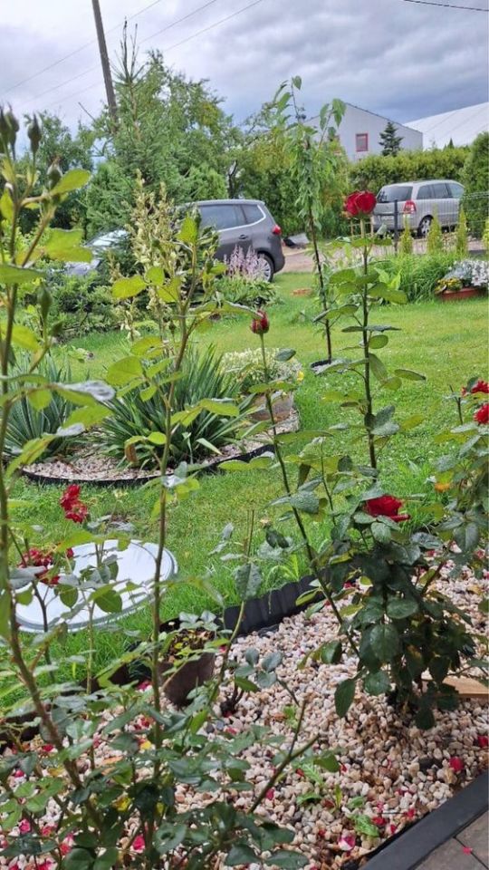 Działka rod Ksawerów, ul. Akacjowa. Zdjęcie 6