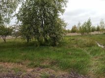 Działka budowlana Bielsk Podlaski, ul. Polna. Zdjęcie 2