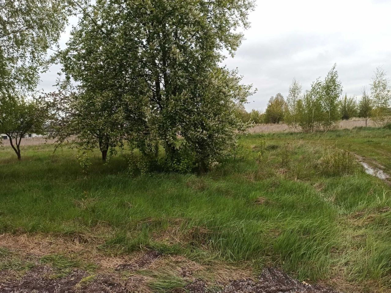 Działka budowlana Bielsk Podlaski, ul. Polna. Zdjęcie 3