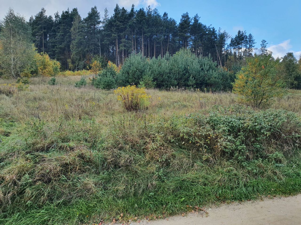 Działka budowlana Łupstych. Zdjęcie 9