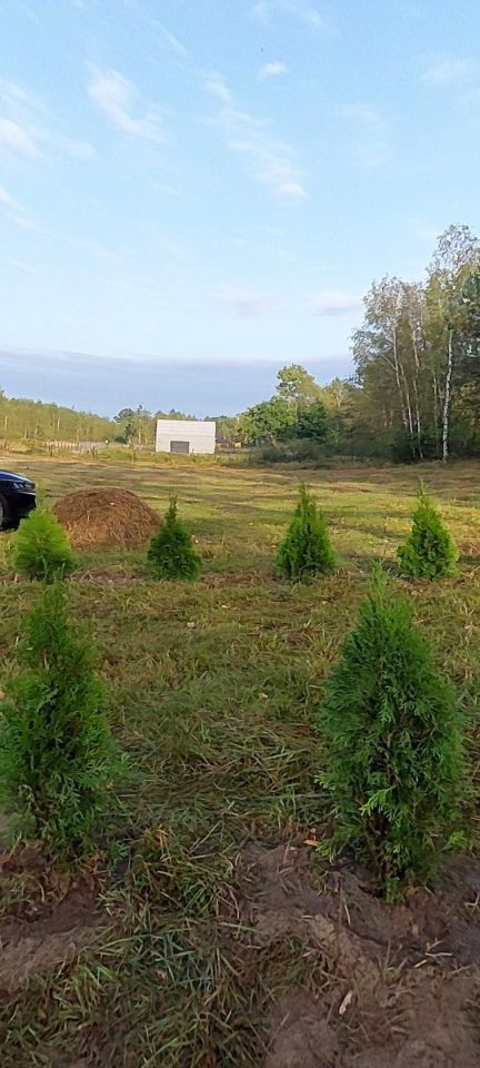 Działka budowlana Żebrówka. Zdjęcie 5
