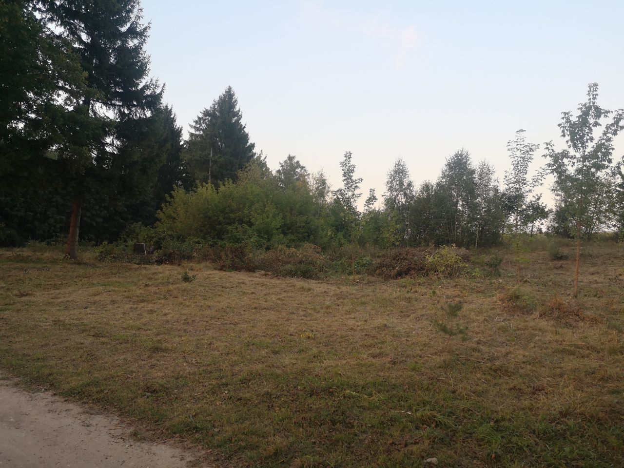 Działka budowlana Okartowo. Zdjęcie 6