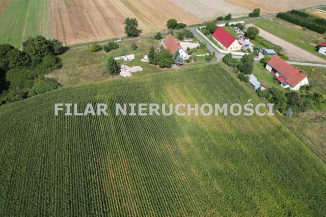 Działka budowlana Miłoradzice. Zdjęcie 7