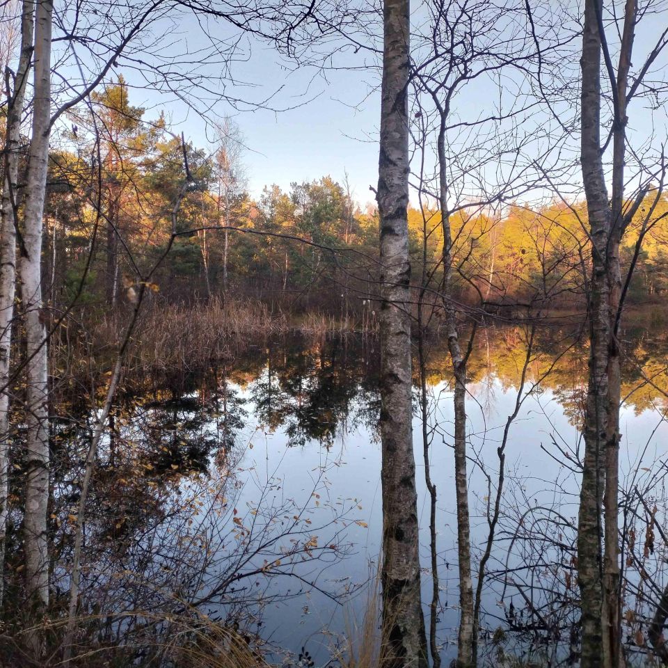 Działka budowlana Jeleńska Huta, ul. Kamieńska. Zdjęcie 8