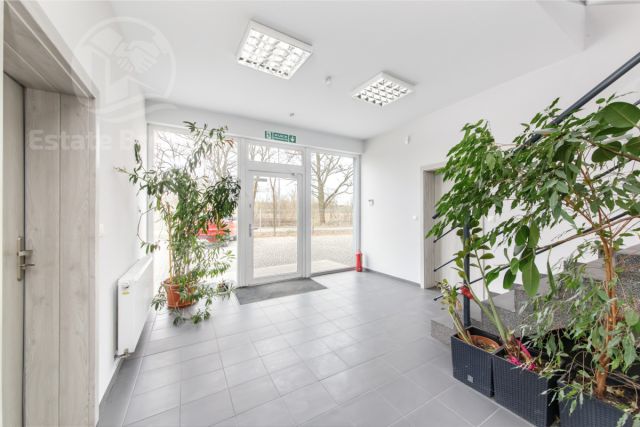 Lokal Wrocław Psie Pole, ul. Pełczyńska. Zdjęcie 6