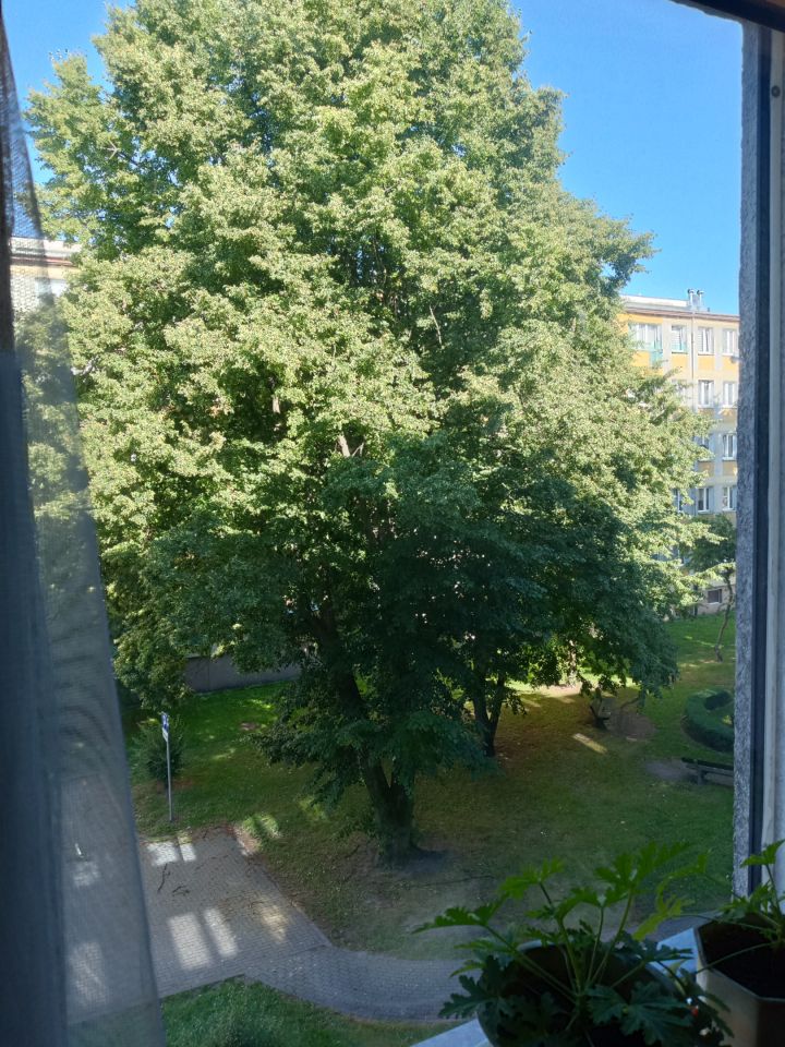 Mieszkanie 1-pokojowe Kołobrzeg Centrum, ul. Grochowska. Zdjęcie 18