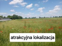 Działka budowlana Świerzna. Zdjęcie 4