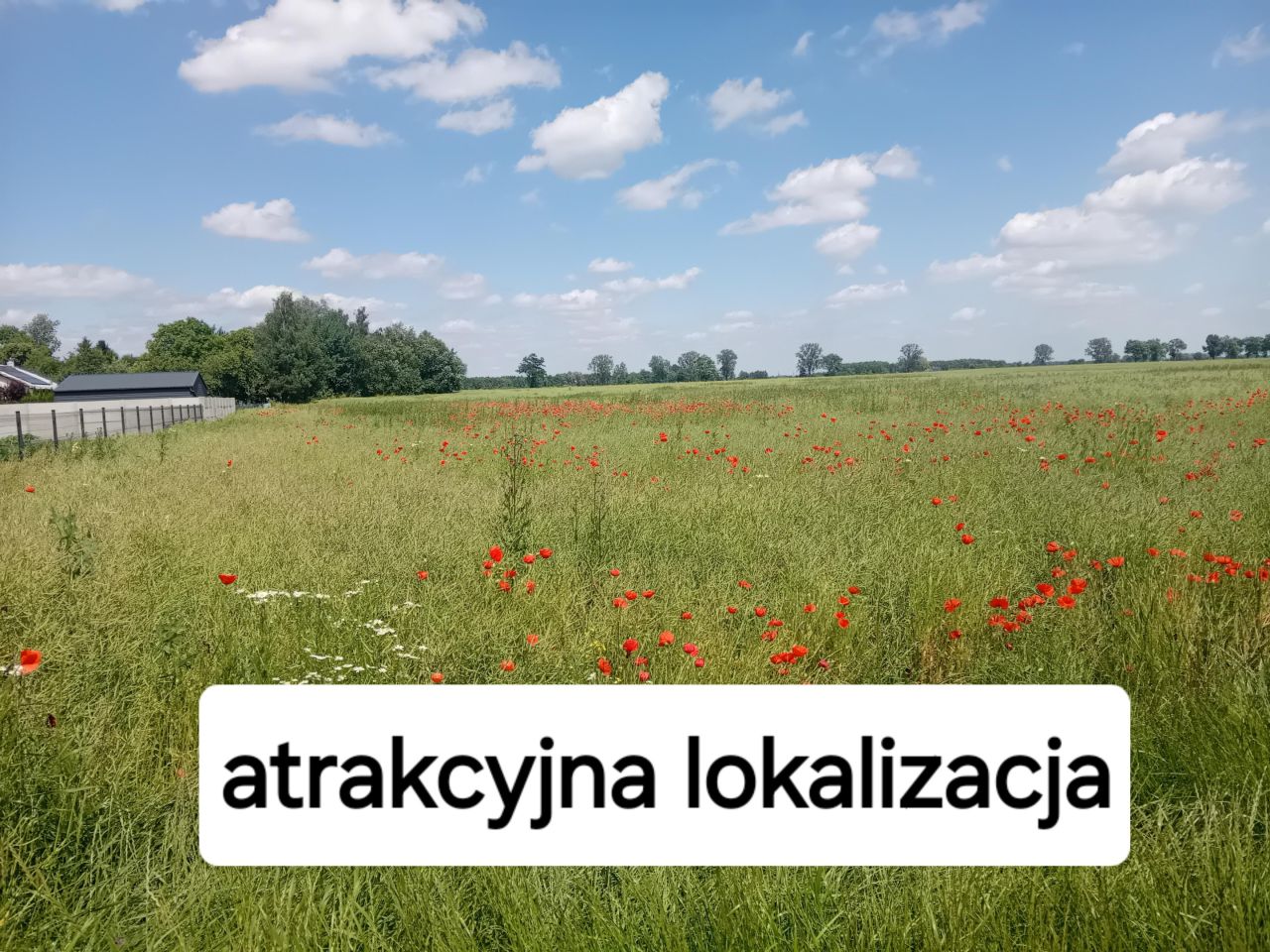 Działka budowlana Świerzna. Zdjęcie 5