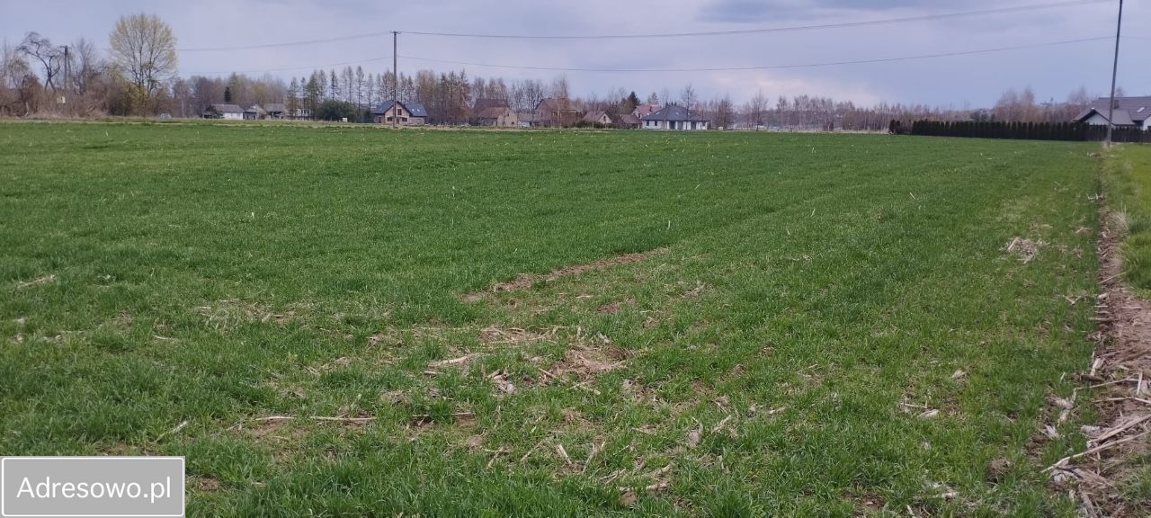 Działka budowlana Nieszkowice Małe. Zdjęcie 6