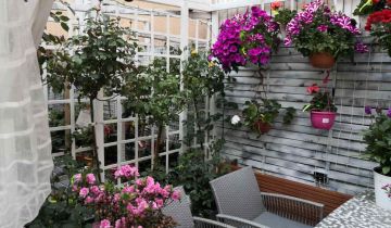 dom wolnostojący, 6 pokoi Słubice, ul. Chopina