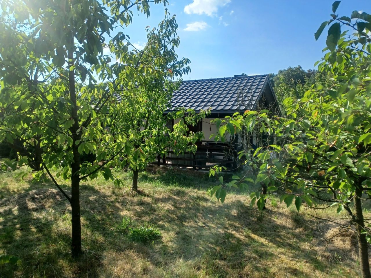 Działka rekreacyjna Chojne. Zdjęcie 7