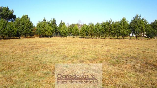 Działka Sekłak. Zdjęcie 12