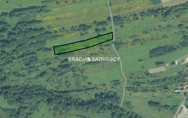 Działka rolno-budowlana Podstolice. Zdjęcie 2