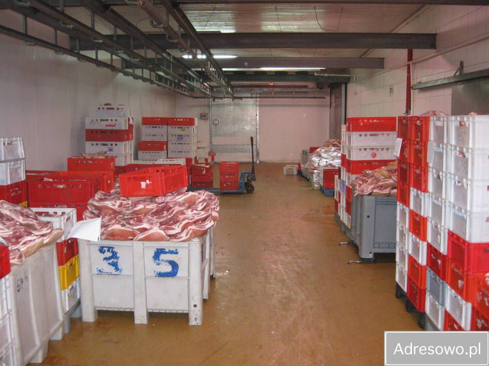 Hala/magazyn Kraków Nowa Huta, ul. Kornela Makuszyńskiego. Zdjęcie 5