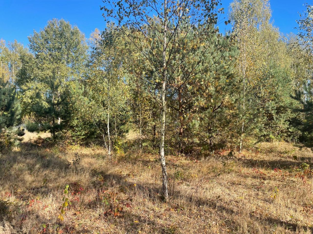 Działka budowlana Żabieniec. Zdjęcie 3