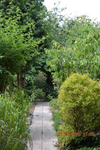 Działka rod Warszawa Targówek, ul. Pratulińska. Zdjęcie 1