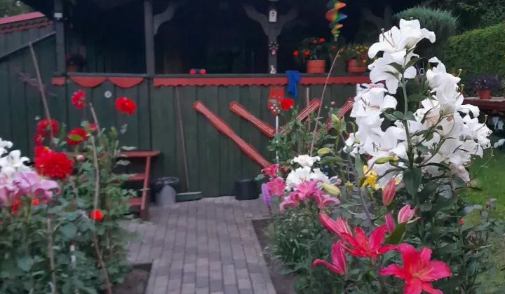 Działka rod Olsztyn Nagórki, al. Aleja Generała Władysława Sikorskiego