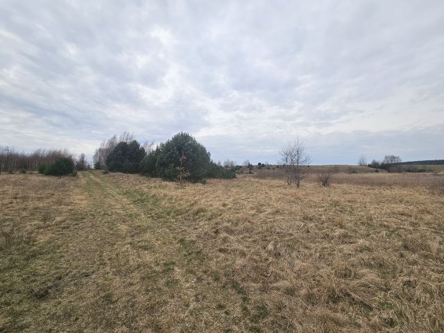 Działka rolna Nowy Dwór. Zdjęcie 9