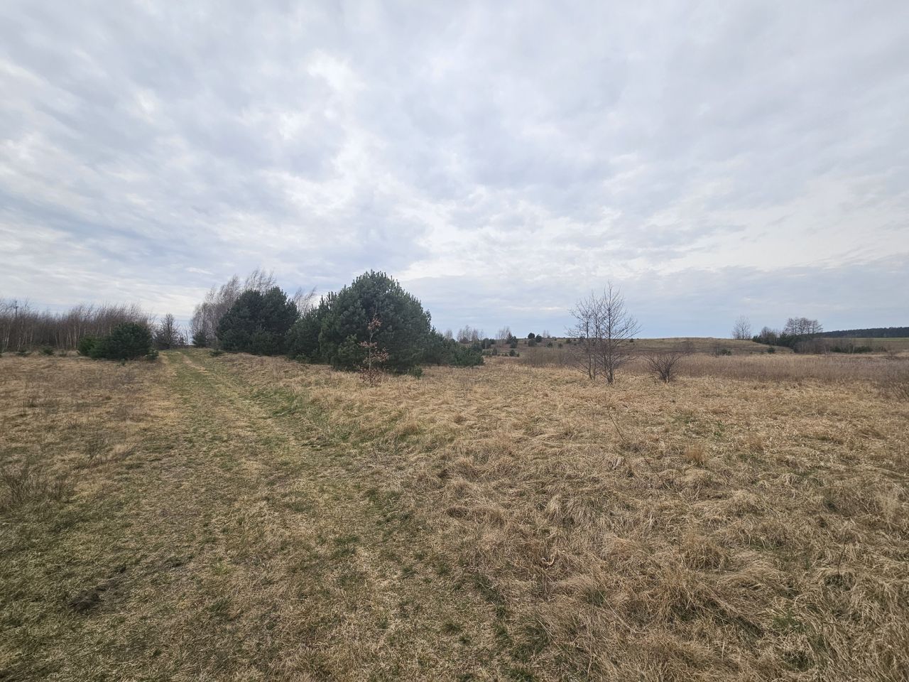 Działka rolna Nowy Dwór. Zdjęcie 9